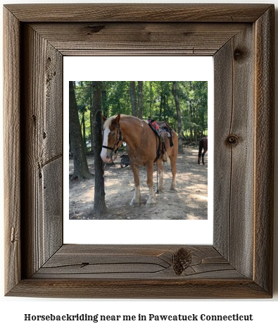 horseback riding near me in Pawcatuck, Connecticut